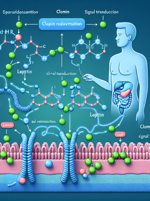 Wie Clomid die Leptinregulation beeinflusst